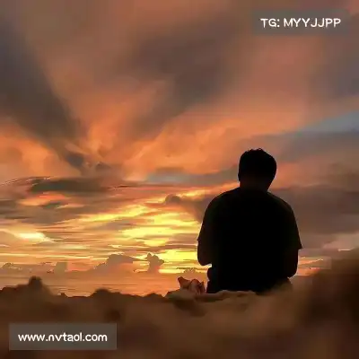 曹一淳